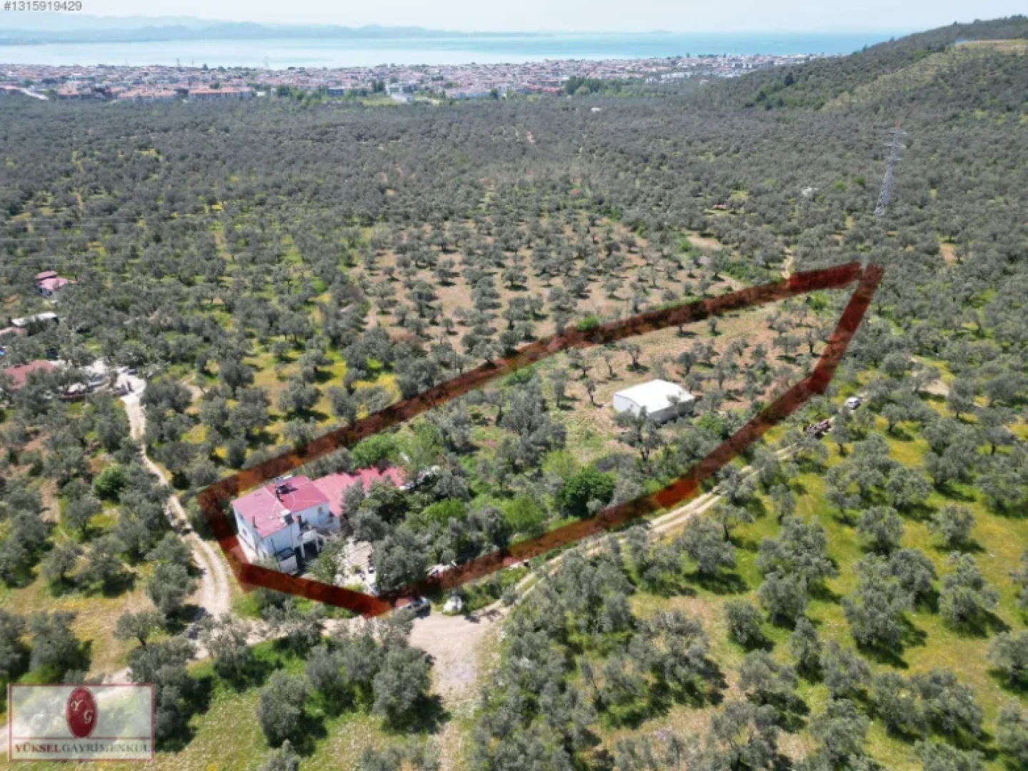 Yüksel'den Kızılkeçili'de Köşe Parselli İmara 100m Zeytinlik