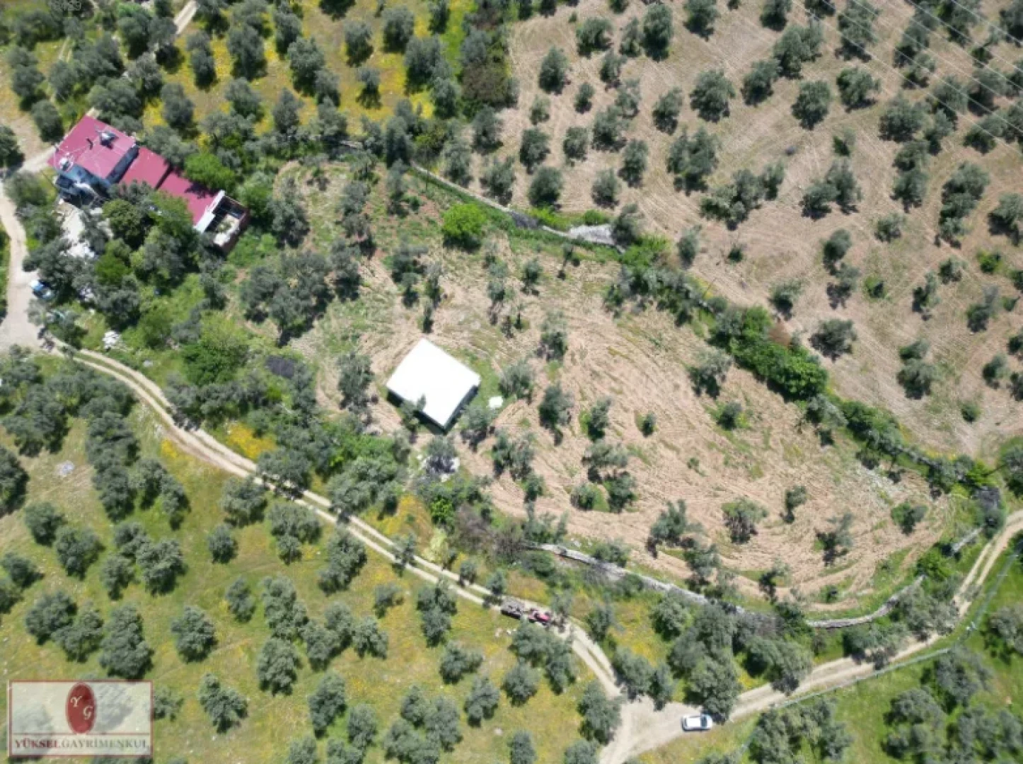 Yüksel'den Kızılkeçili'de Köşe Parselli İmara 100m Zeytinlik