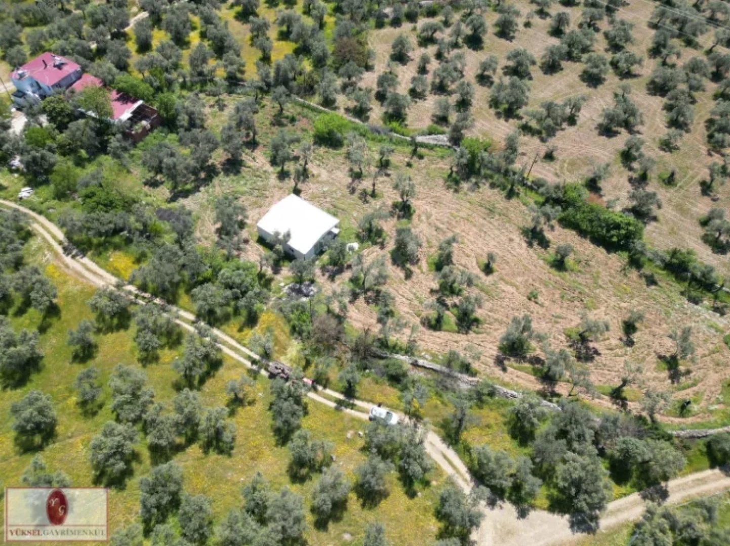 Yüksel'den Kızılkeçili'de Köşe Parselli İmara 100m Zeytinlik