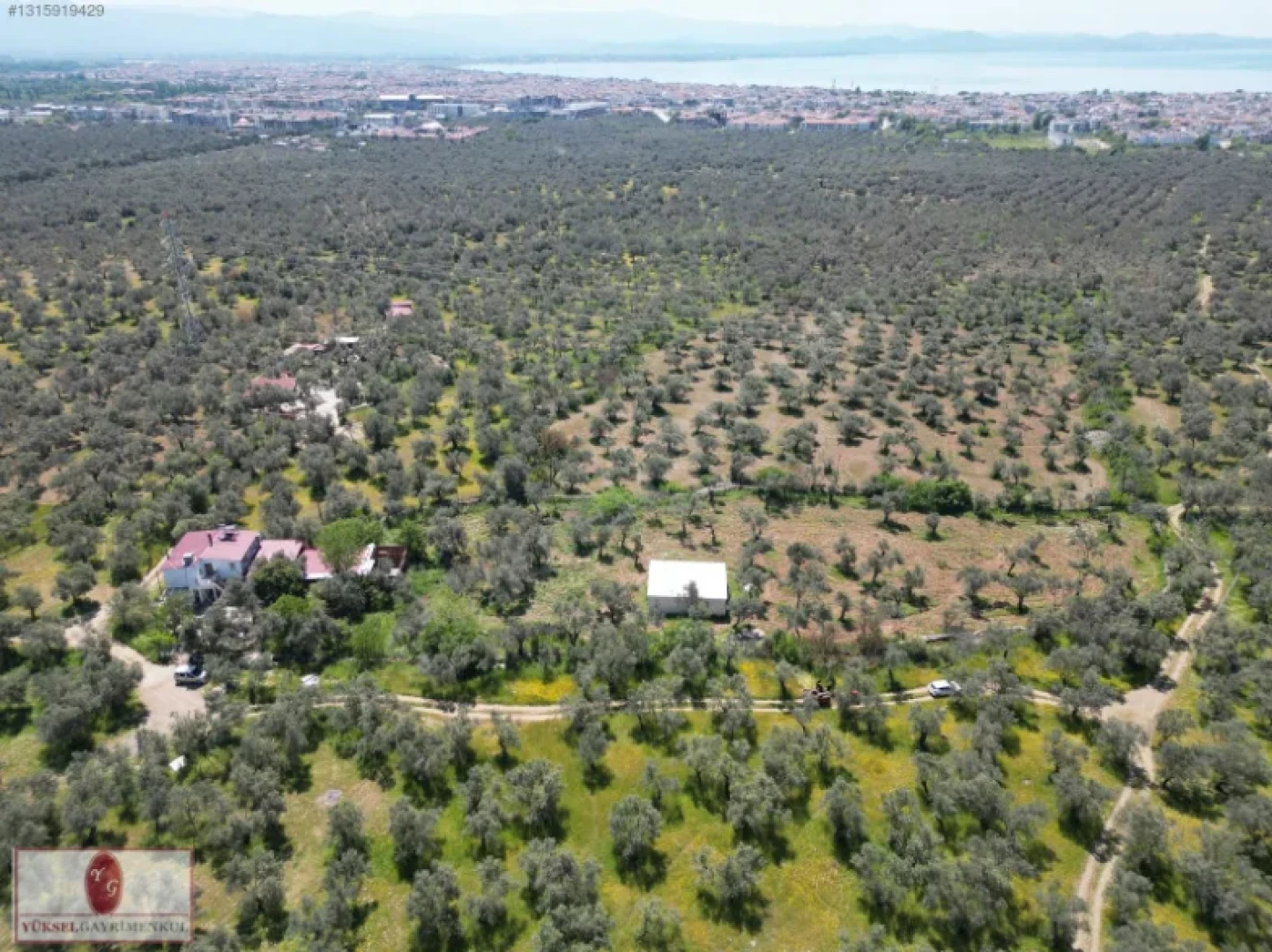 Yüksel'den Kızılkeçili'de Köşe Parselli İmara 100m Zeytinlik